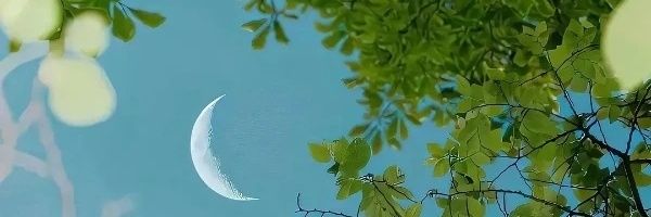 佘浯（停更版）'s banner