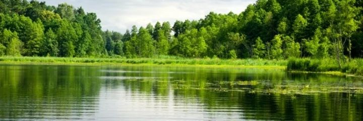 Çaloglu55's banner