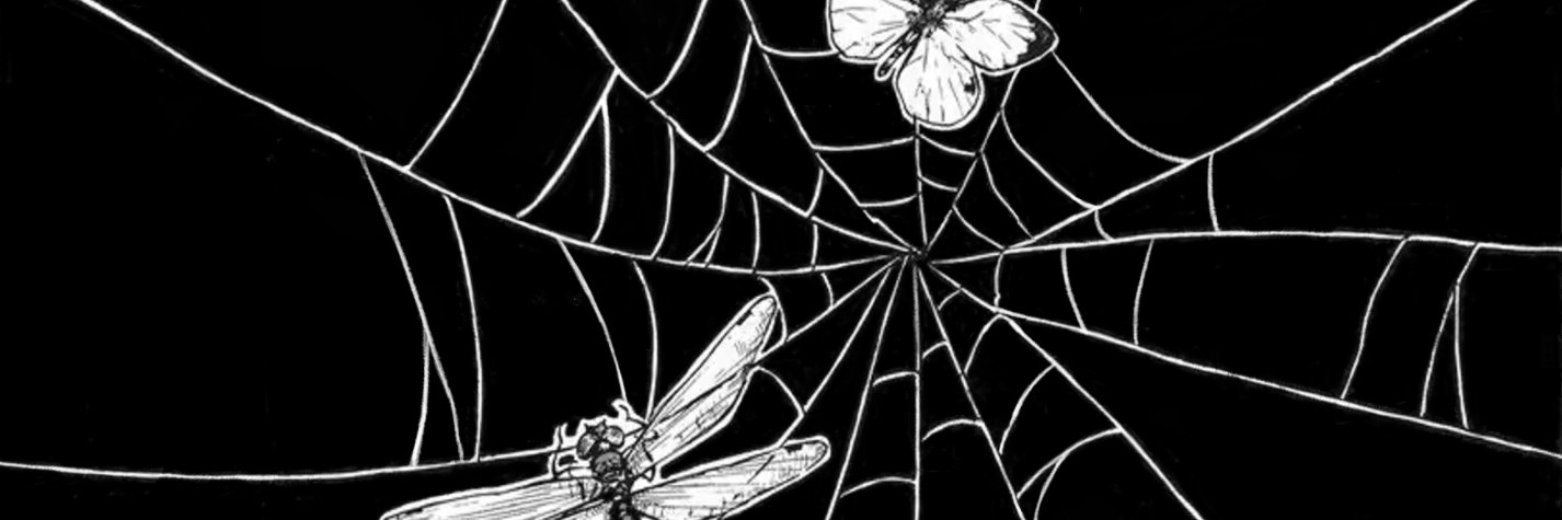 sog ²'s banner