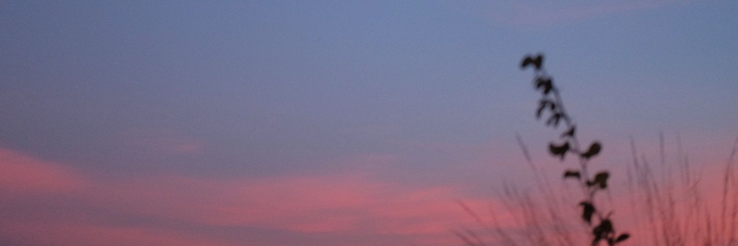 偽りの春 🌸's banner