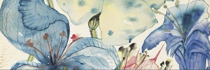 claire's banner