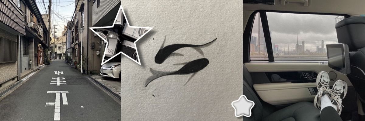 angie 🇦🇷 𑣲⋆'s banner
