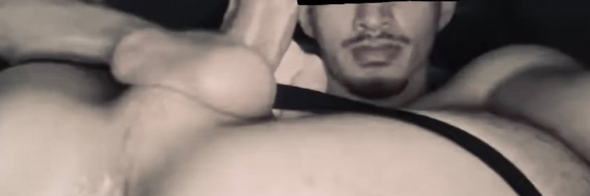 THEPAWBPAGE's banner