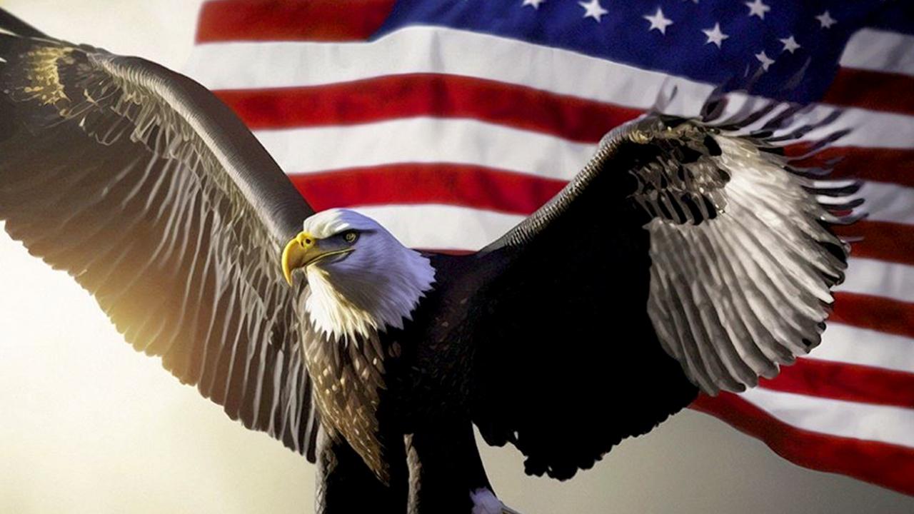 Americaforever's banner