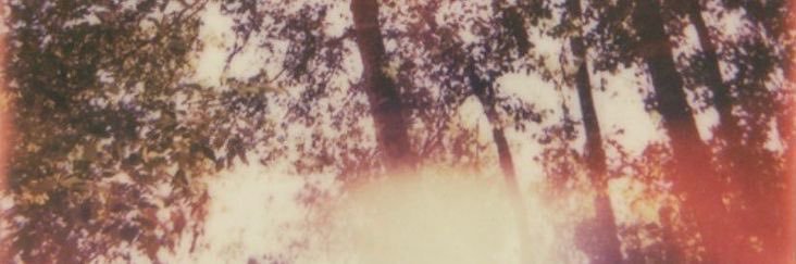 hailey ⋆˚࿔'s banner