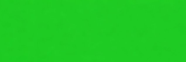 tosti's banner