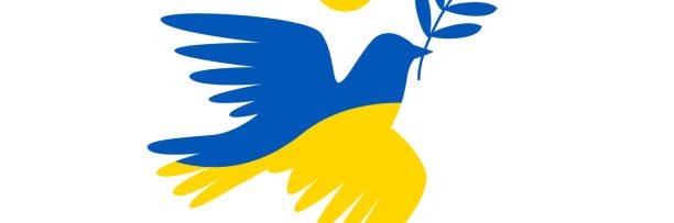 Irina🇬🇪🇺🇦's banner