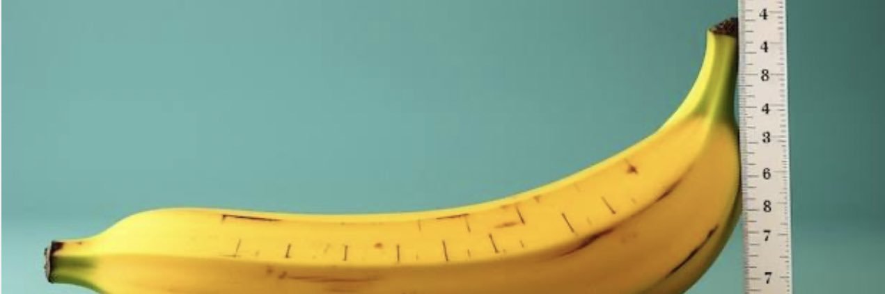Perfect Penis's banner