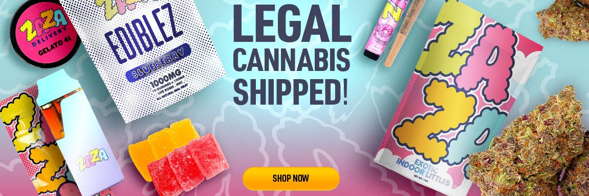 Shop Zaza's banner