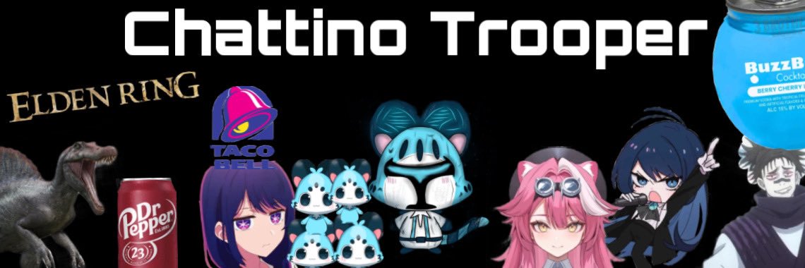 Reg_501st (Chattino Trooper)'s banner