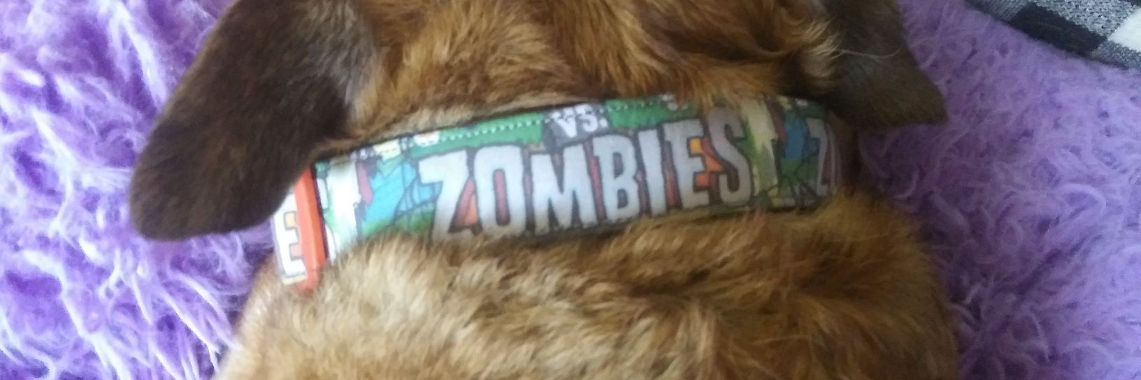 Tank & Angel Vinnie😇The Fierce Zombie Hunter 🧌's banner