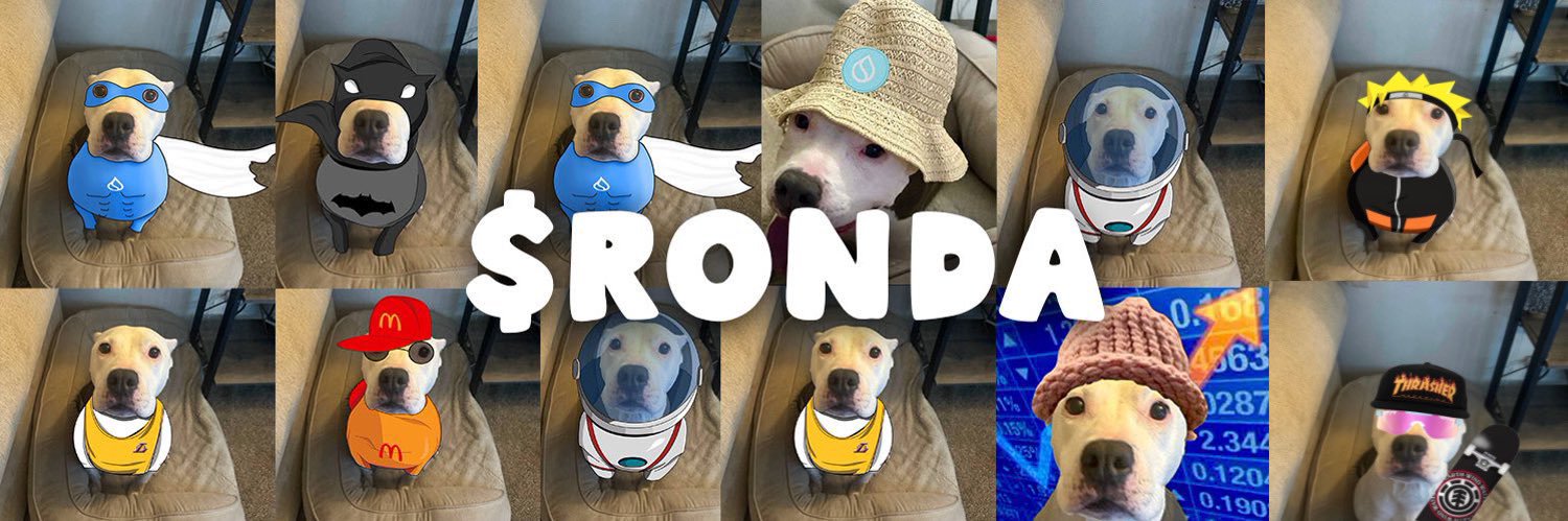 RondaOnSui's banner