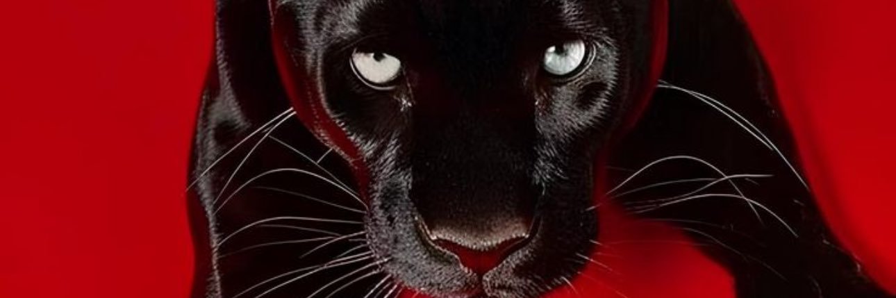 McikeyAd's banner