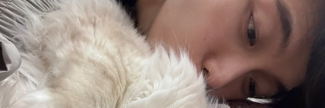 뽀's banner