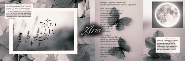 aria's banner