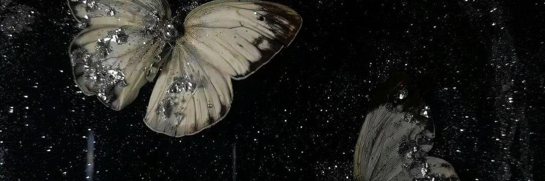 痒痒星人's banner