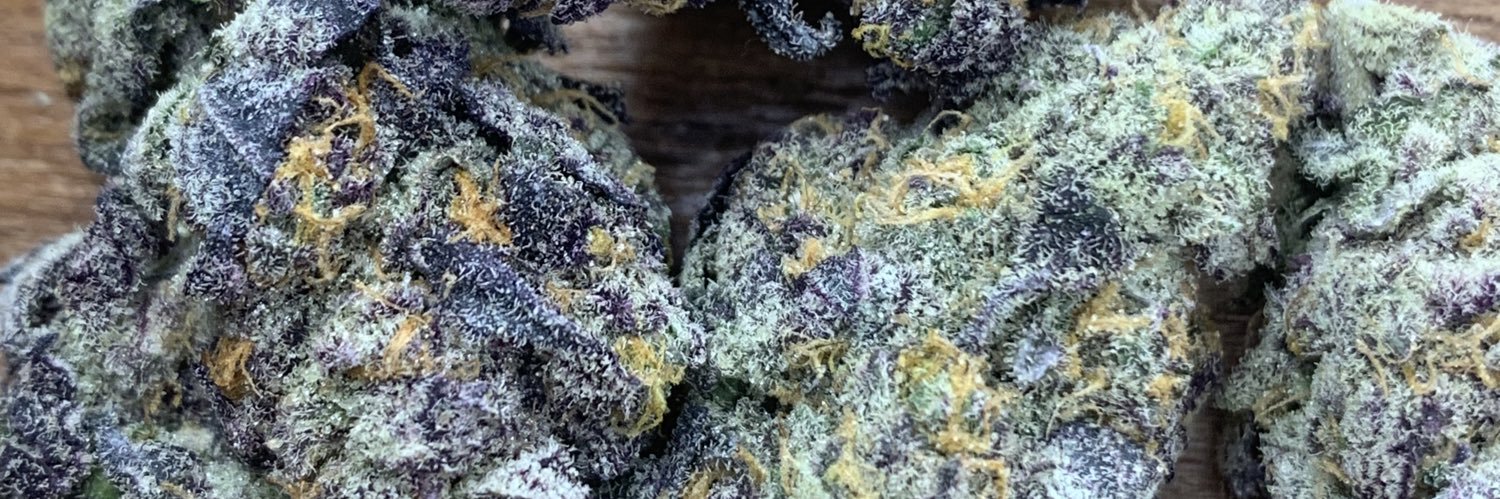 crazy jessie 🍃's banner