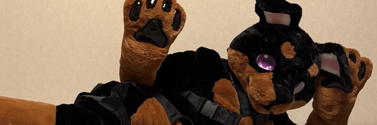 Milo Pup's banner