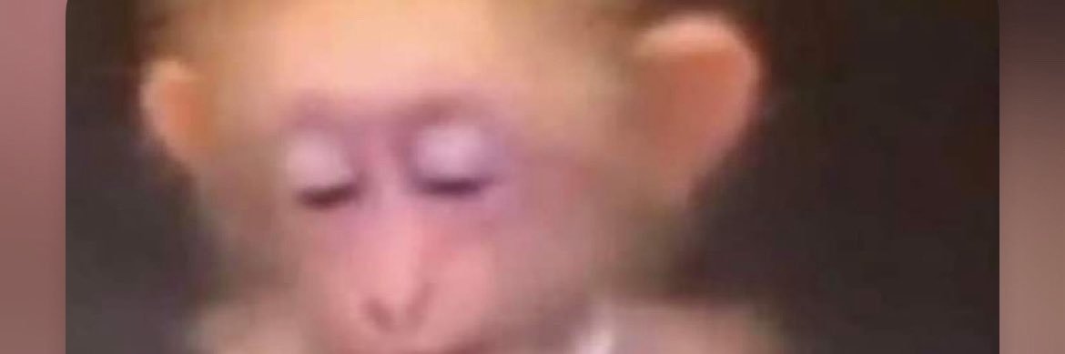 K🐒 (Ei segun Ari)'s banner