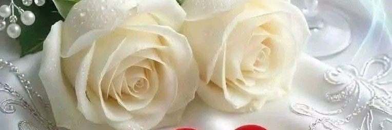 اسماء's banner