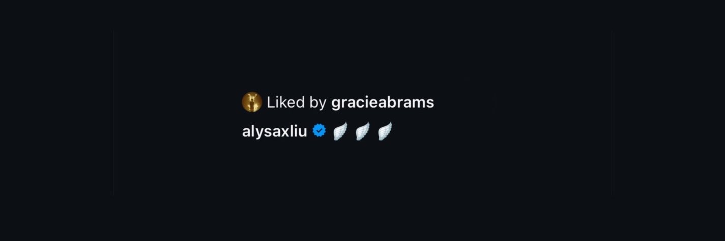 kaitlyn⋆ 𐙚 ˚'s banner