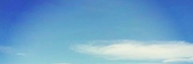 FC2PPVA's banner