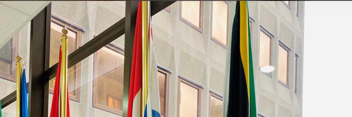Dr Nobuhle Nkabane's banner