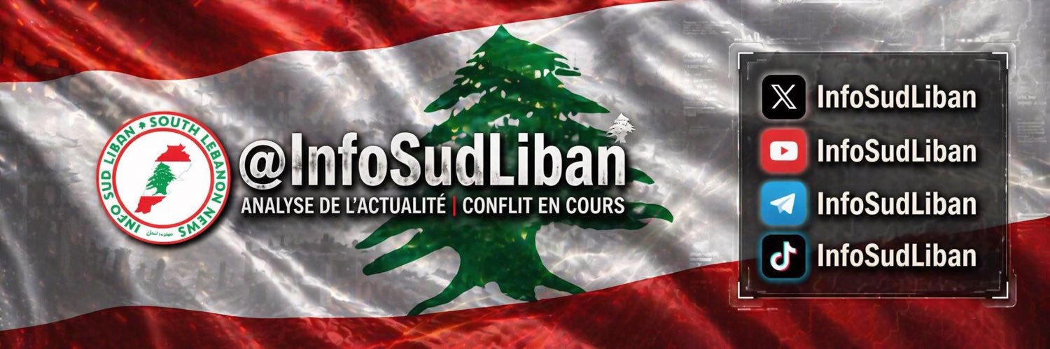 InfoSudLiban's banner