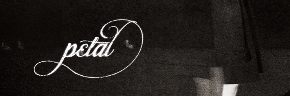 gabriel ꕤ's banner