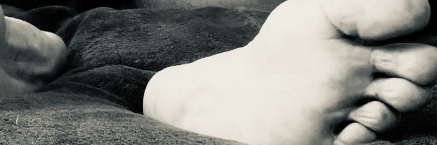 TweetySmooth SFO 6/22-6/29 (58K+)'s banner