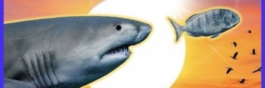 Ch33z33's banner