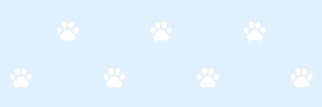 Ti՞˶･֊･˶՞an୭'s banner