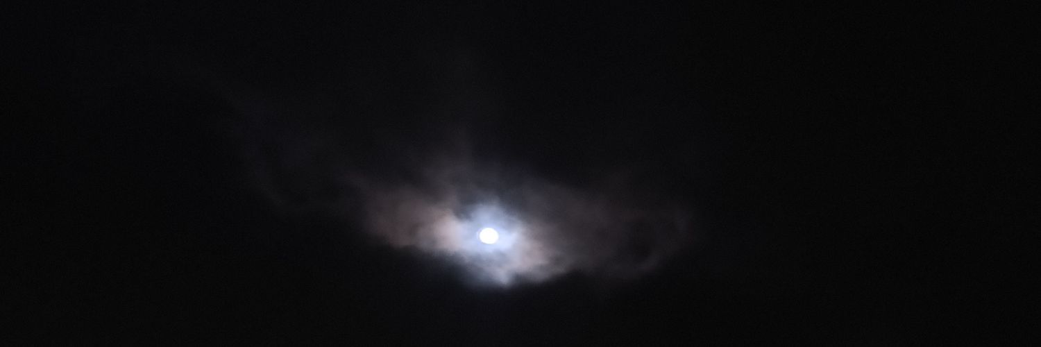 WestCapePervs's banner