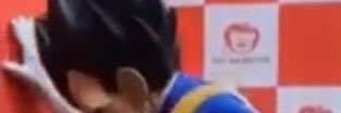 .'s banner