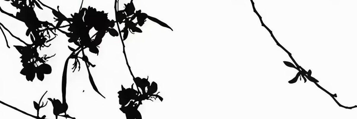 稚嫩喵's banner