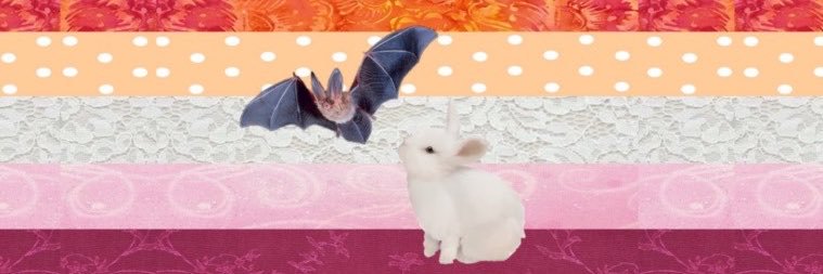 average ponsuke enjoyer's banner