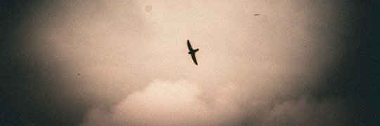 Adem Vessell's banner
