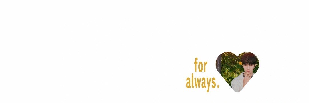 ⋆⸜ 𝙉𝙞𝙨𝙝 ⸝⋆'s banner