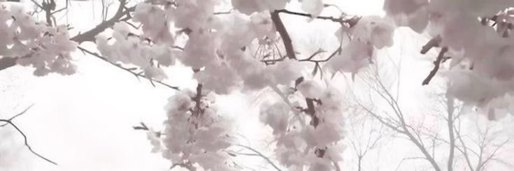 𐙚's banner