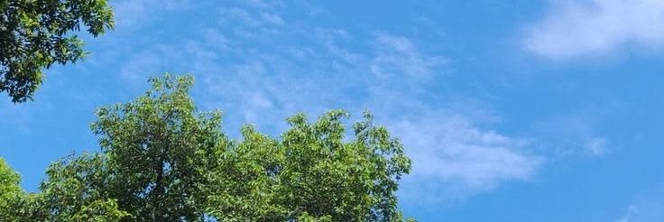 syifaaa_'s banner