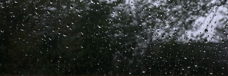 rylie ☔️'s banner
