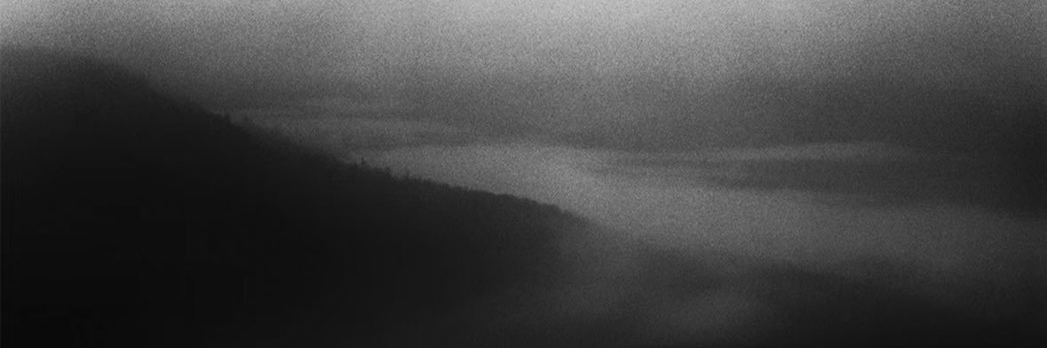we's banner