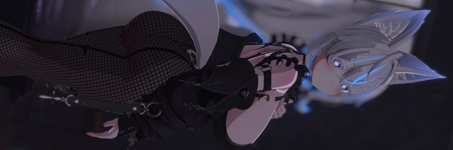 Snowflake❄️'s banner
