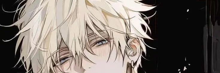 散落的星✨'s banner