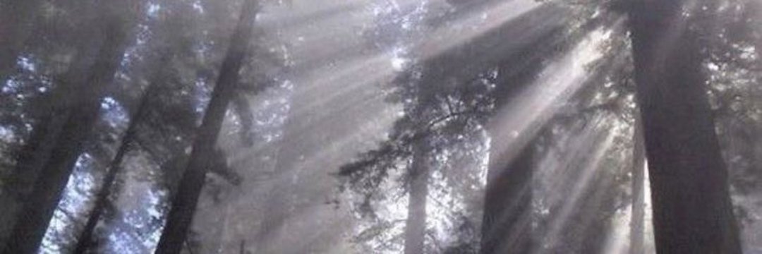 Kerv's banner