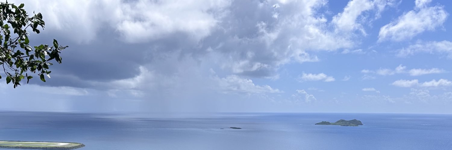 Stil's banner