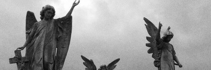 ''s banner