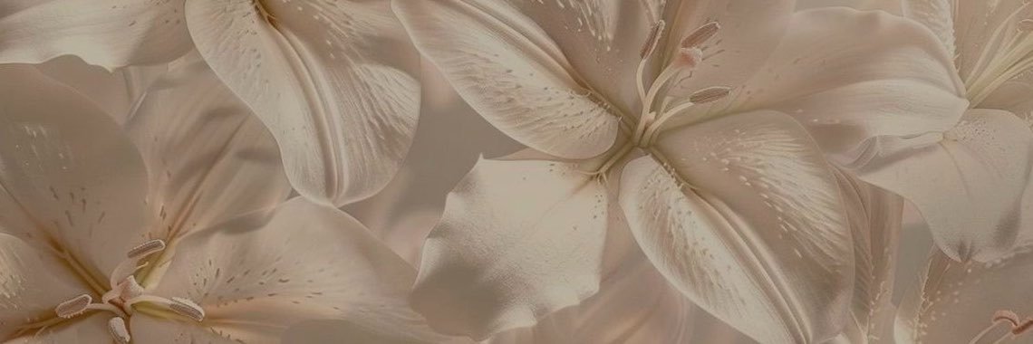 useer.i's banner