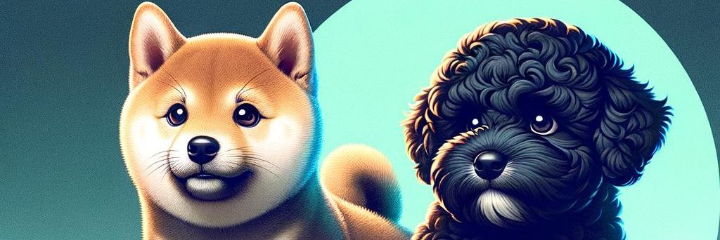 OfficialDogeK's banner