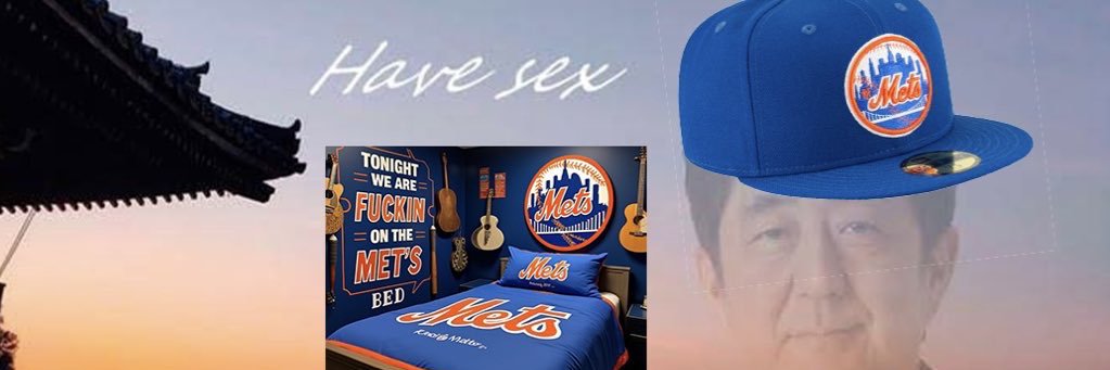 Mets Iran Fan Club 🇮🇷's banner